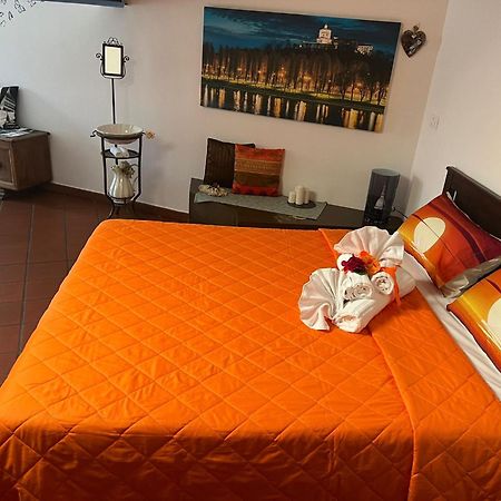 Historic Center Via Po Apartment Τορίνο Εξωτερικό φωτογραφία